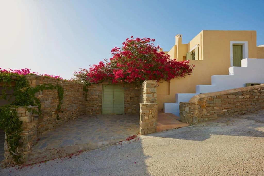 Ochre Dream, Beach Front & Sunset Villa Naousa Eksteriør bilde