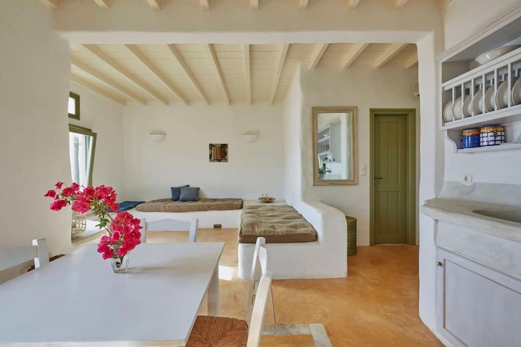 Ochre Dream, Beach Front & Sunset Villa Naousa Eksteriør bilde