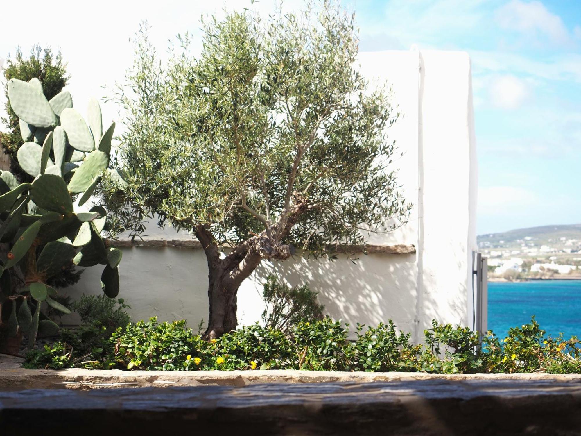 Ochre Dream, Beach Front & Sunset Villa Naousa Rom bilde